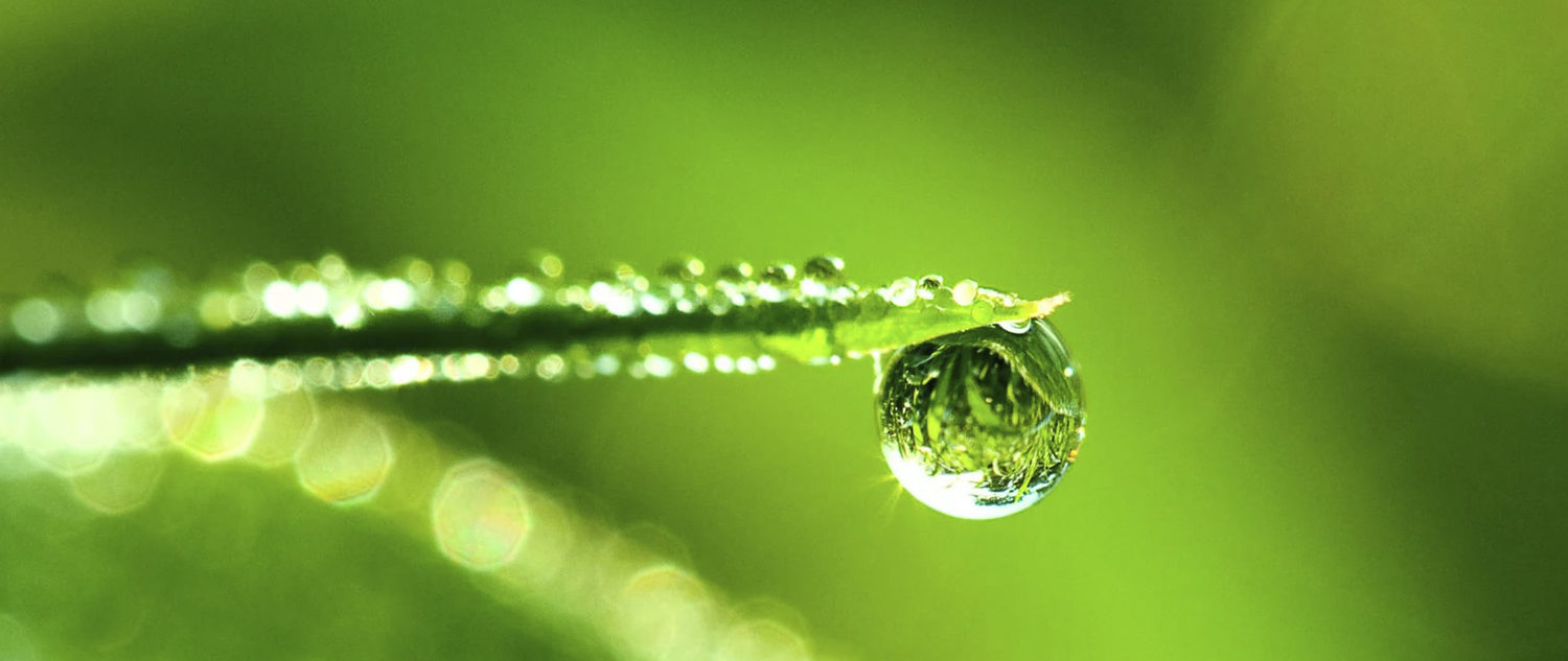 Биочистка&nbsp;